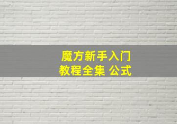 魔方新手入门教程全集 公式